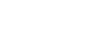 Realdolmen